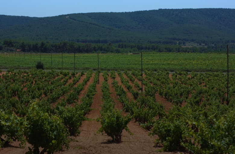 Scopri le opportunità