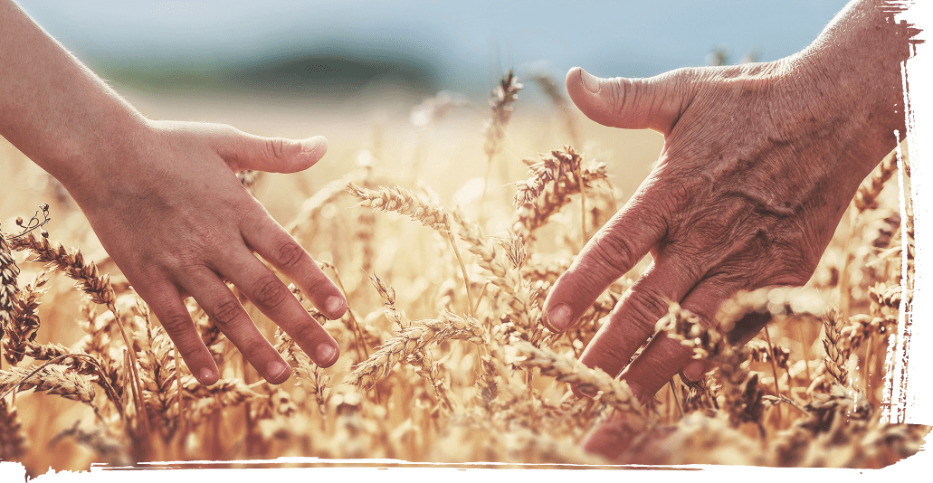 Il progetto di educazione alimentare Satu po imparai