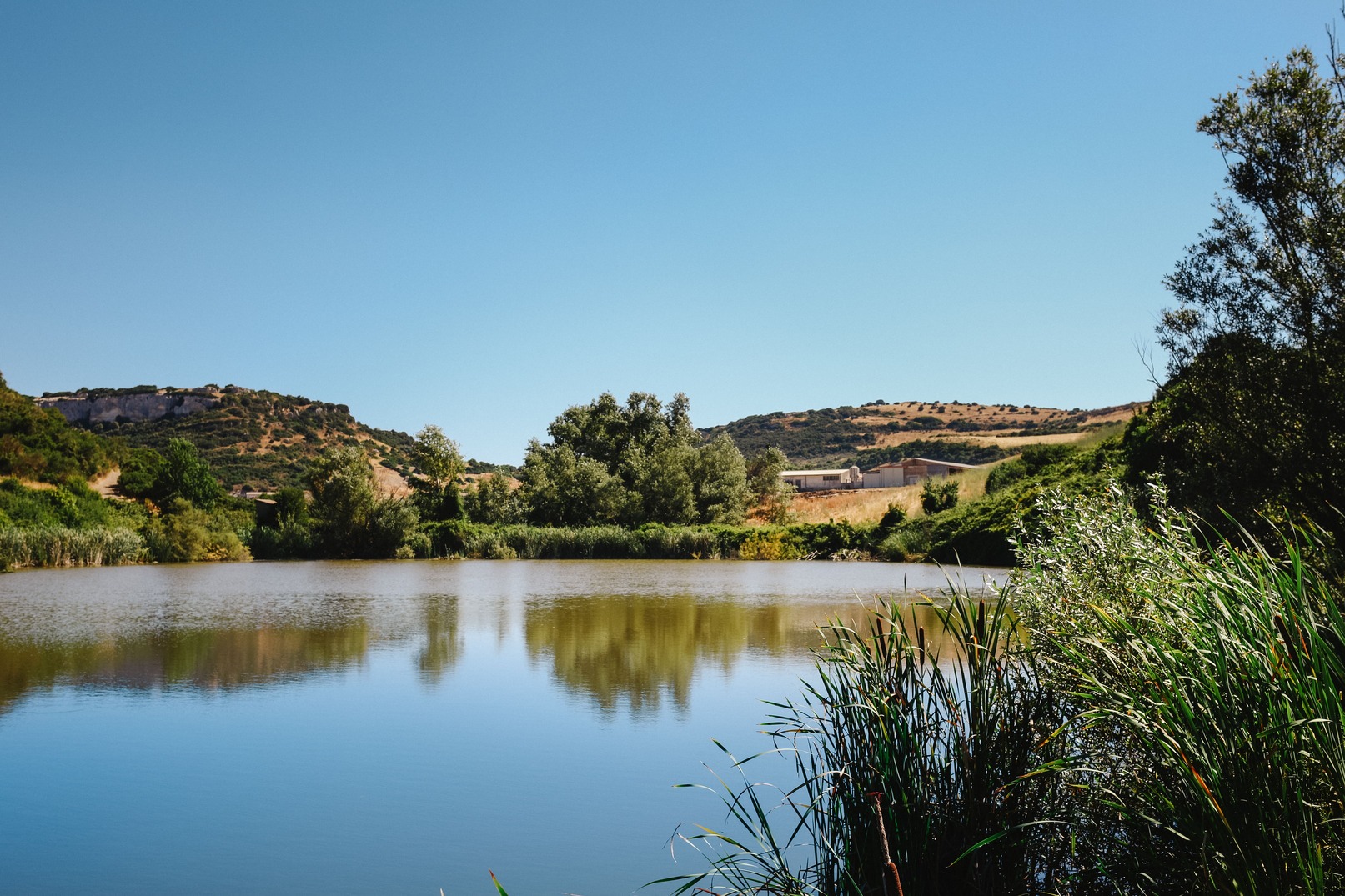 Azienda agricola “Caseificio Truvunittu”
