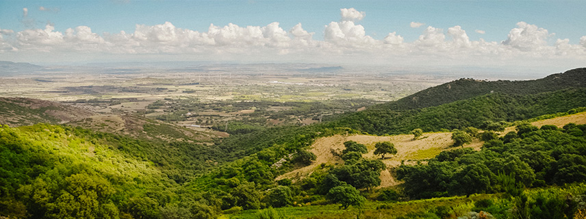 Azienda agricola “Ovis Nigra”