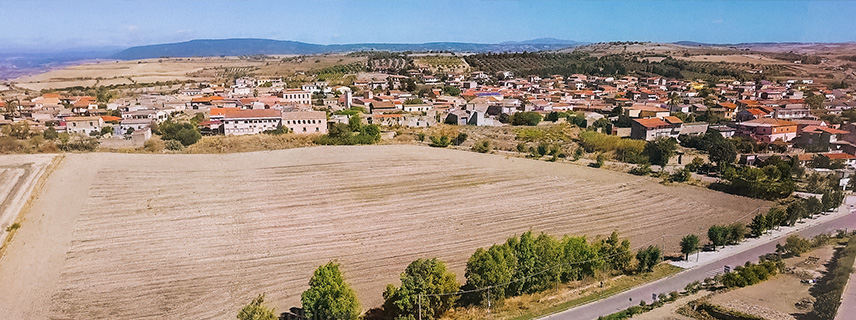 Azienda agricola “Zafferano Cortis”