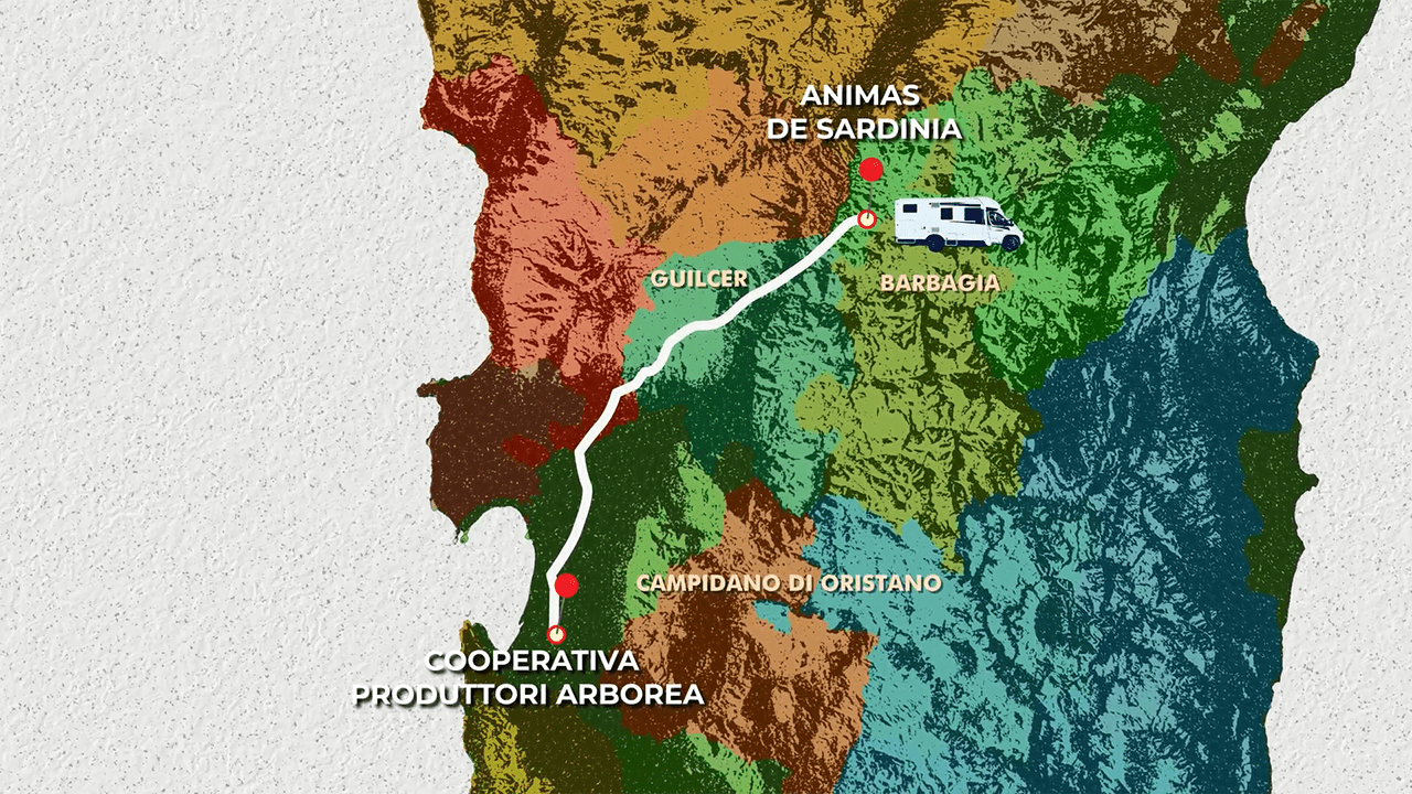 Mappa azienda agricola