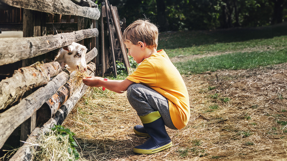 Al via la seconda edizione della Scuola Sarda di Pastorizia a Bonassai