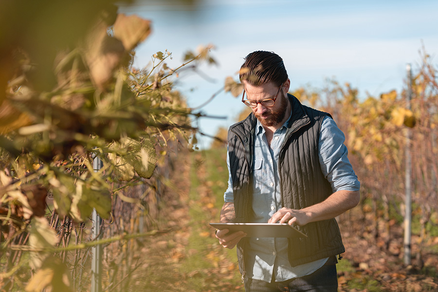 CSR Sardegna 2023-2027: approvate le disposizioni per il finanziamento dell’intervento SRG01