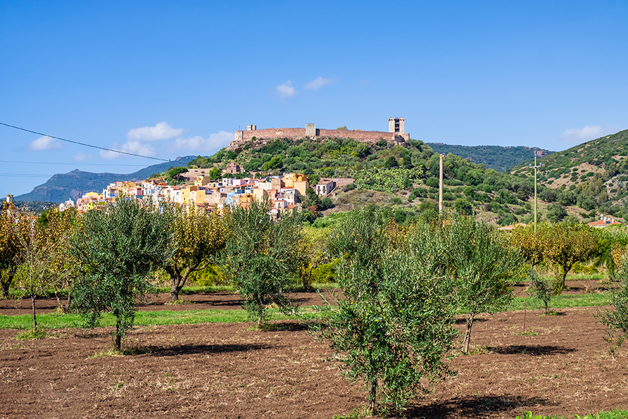 Disponibile il Bando per le infrastrutture agricole e lo sviluppo rurale