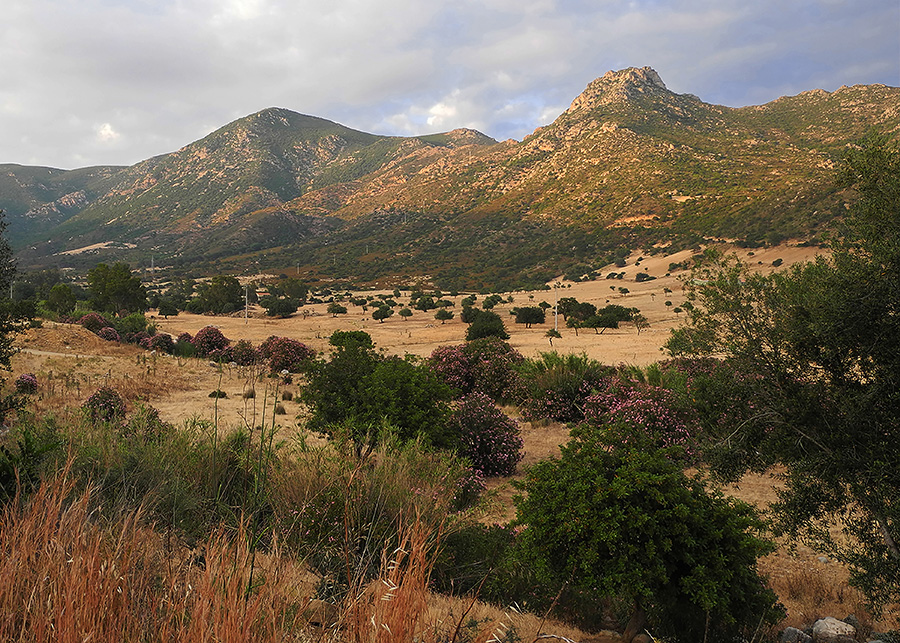 Paesaggio rurale sardo