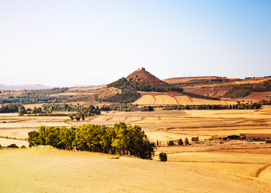Domanda Unica 2024: sbloccati nuovi pagamenti