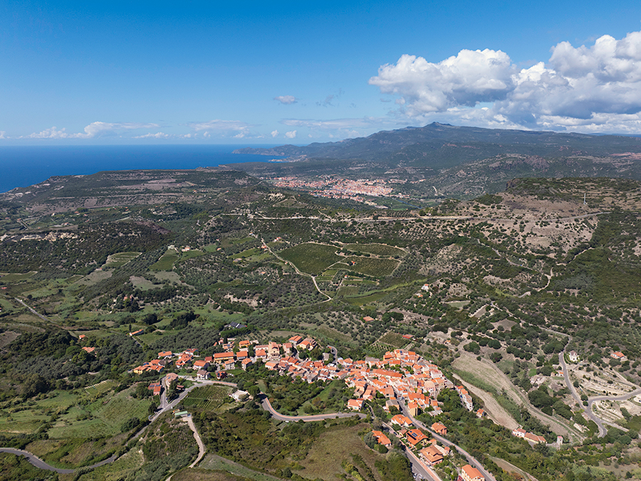 Disponibili i bandi per consulenza e informazione nell’ambito dello sviluppo rurale